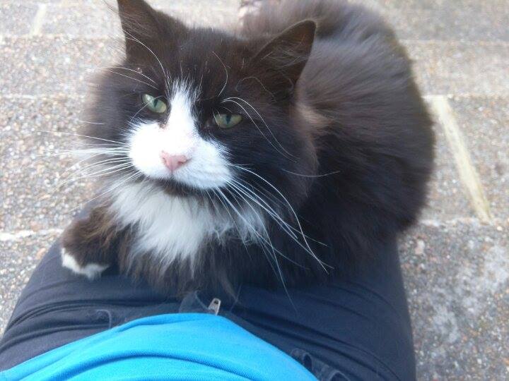 16924197_10100550973029440_1479960264_n