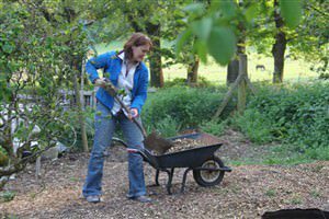 Via: North Laine Community Association 