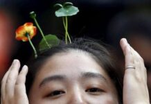 Trending in China Now – Bean Sprout Hair Clips