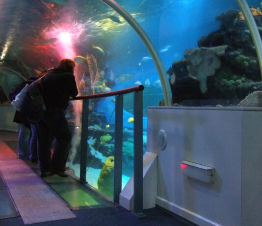 Things to do this Half-Term
