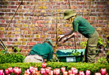 Charity Tuesday- Brighton and Hove Food Partnership