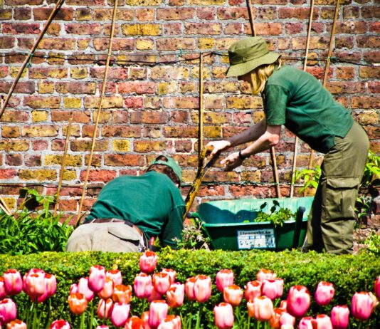 Charity Tuesday- Brighton and Hove Food Partnership
