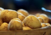 Wow Amazing Trick to Peel Potatoes!