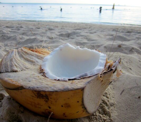 Coconut Oil Helps You Loose Weight