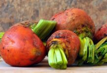 The Benefits of Beetroot