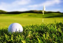Five Affordable Rounds of Golf in Sussex