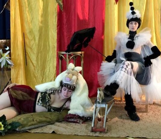 Dare to draw? The Grand Drawing Circus hosts wild night of drawing at Booth Museum Tonight