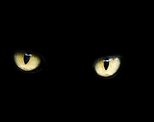13 Superstitions for Friday 13th