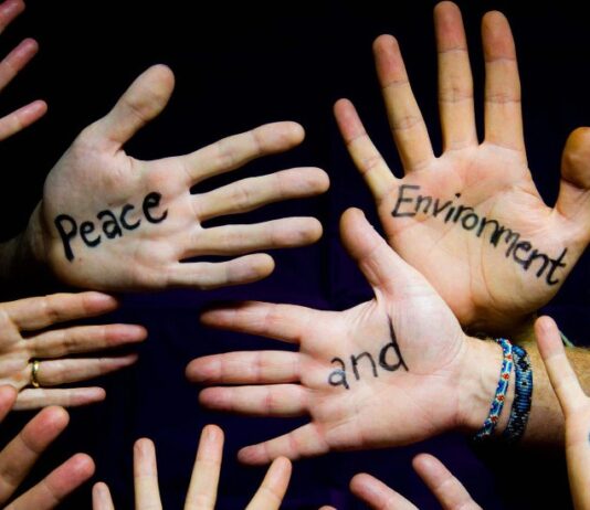 Promote Creative and Critical Thinking