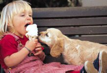 Don’t Fear Friday the 13th: November 13th is World Kindness Day!