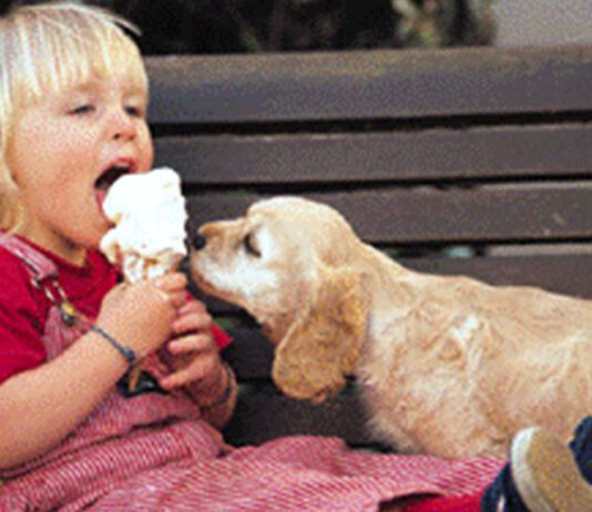 Don’t Fear Friday the 13th: November 13th is World Kindness Day!
