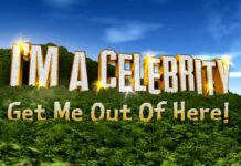 Rumble in the Jungle – I’m a Celebrity Review