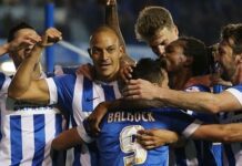 Brighton & Hove Albion 2015 Review: