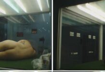 Naked In A Giant Glass Box for a Week