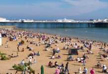 Brightonians Receiving New Years Honours