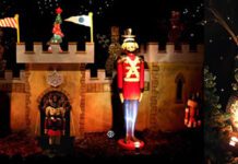 What To Do With The Kids! – This Week 21st-24th December