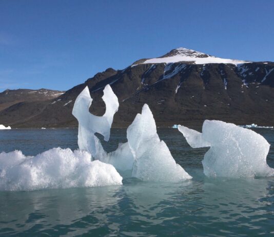 The Climate Crisis Is a Systems Crisis: Caroline Ashley on What Must Change