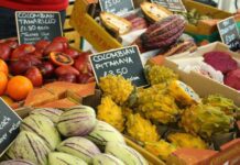 Vegfest 2016: Bjournal’s Top Picks