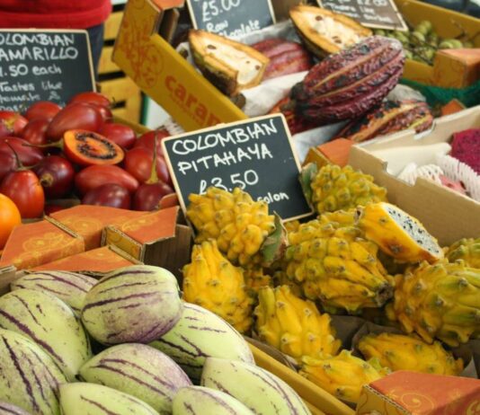 Vegfest 2016: Bjournal’s Top Picks