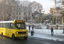 Brightonians Raise Money for Two New Big Lemons