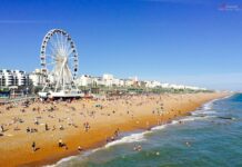 The Brighton Big Screen Returns!