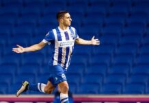 Albion’s Goal Surge Could Prove Critical in Promotion Battle