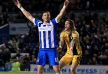 The top 5 reasons Brighton can win the Championship