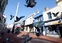 Five Great Walks in and Around Brighton & Hove