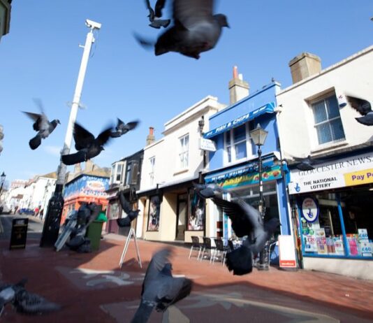Five Great Walks in and Around Brighton & Hove
