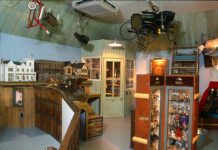 Live Witchcraft, snakes, giant bugs and much more: family-friendly activities in Brighton Museums