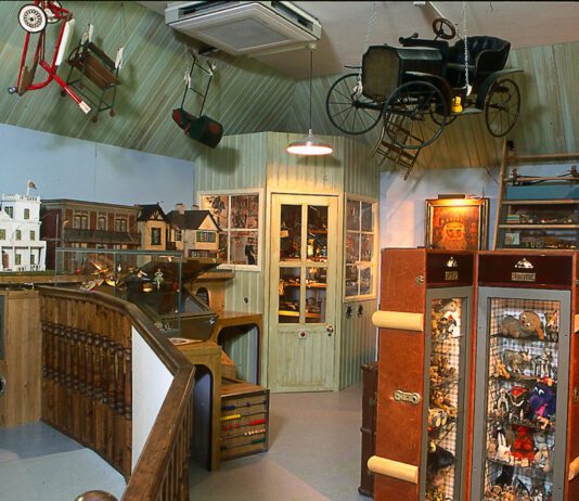 Live Witchcraft, snakes, giant bugs and much more: family-friendly activities in Brighton Museums