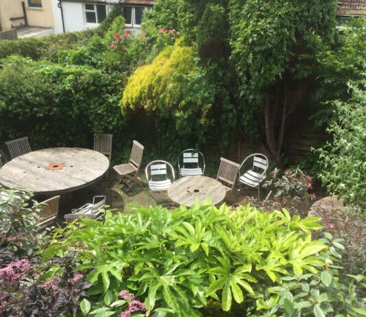 Pub Of The Week: The Hartington