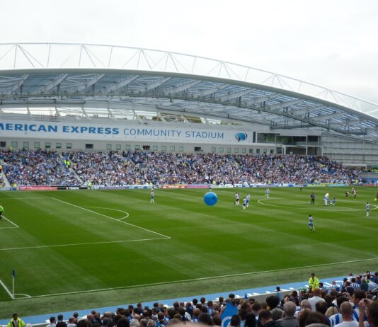 Brighton and Hove Albion Transfer Round-Up