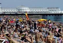 Swimmer dies on Brighton Beach