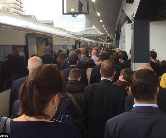 Overrun Brighton Station Closed