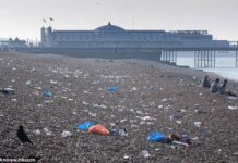 Torrid Tuesday leaves 30 tonnes of Rubbish on Brighton Beach