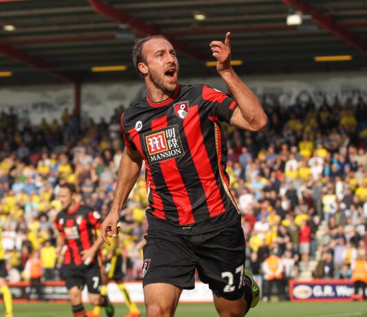 Glenn Murray Returns: Will this be Albion’s Year?