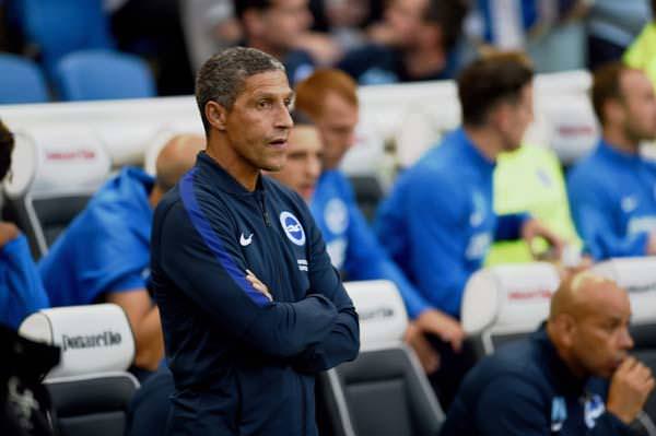 Hughton (pictured) had warned his Albion side to be vigilant before the Rotherham test.