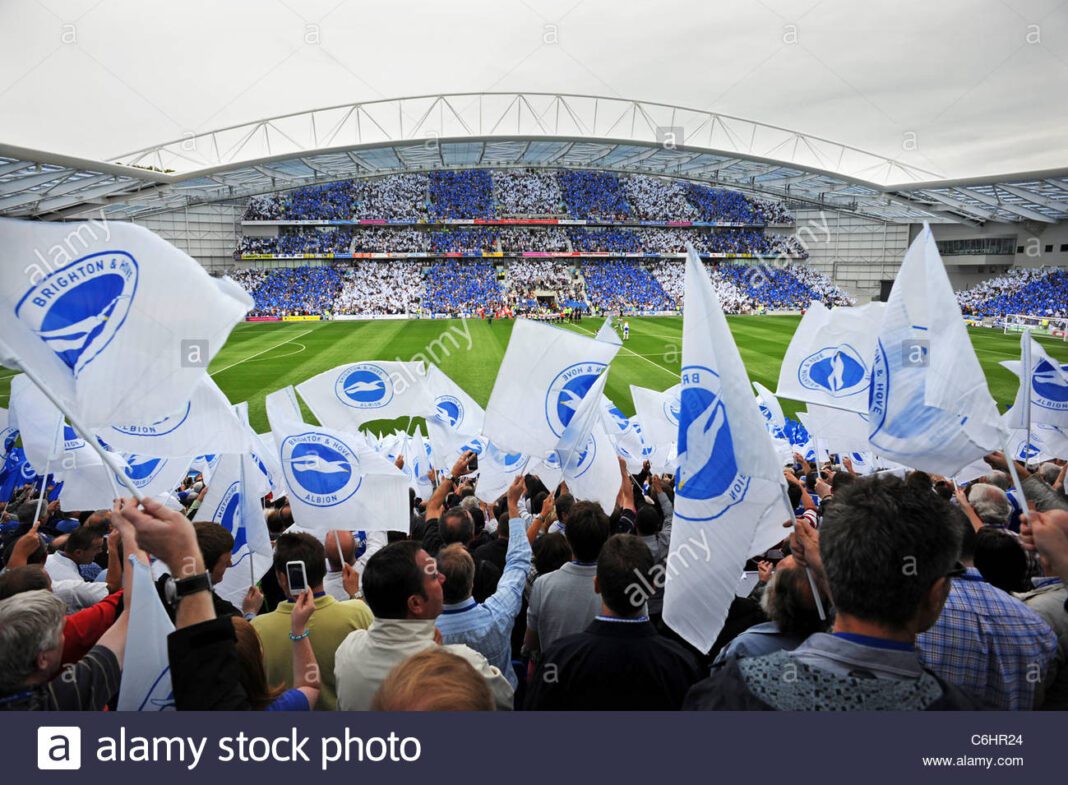 bhafc fans