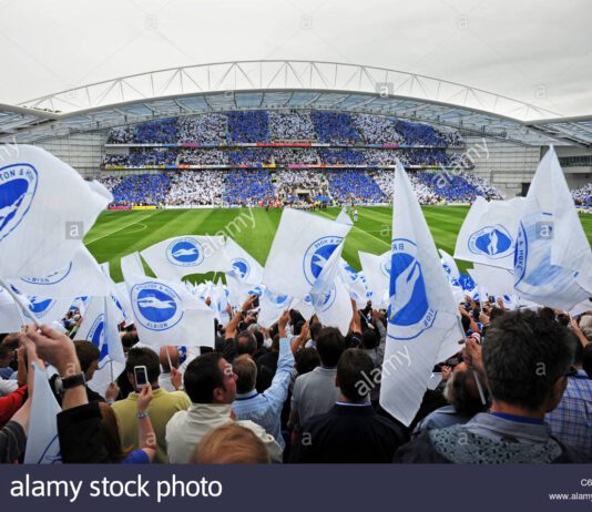 Following A Heroic Victory Over Man United, The Seagulls Now Face Man City