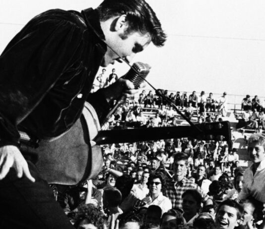 Top Gigs in Brighton this Week!