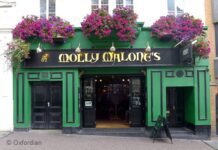 Pub of the Week: Molly Malone’s🍀