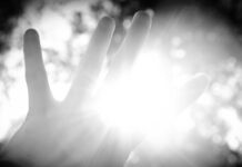 Are You A Dimmer Or A Brightener?