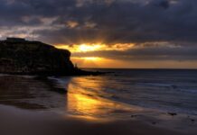 How To Live Consciously in Brighton: A Revival Collective Guide