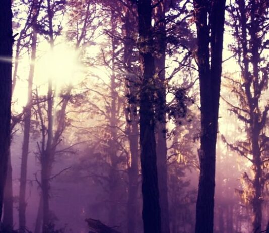 There Is Only Light