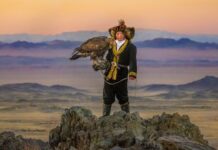 Movies of the Week: What’s on at Brighton’s Cinemas 16 -22 December The Eagle Huntress