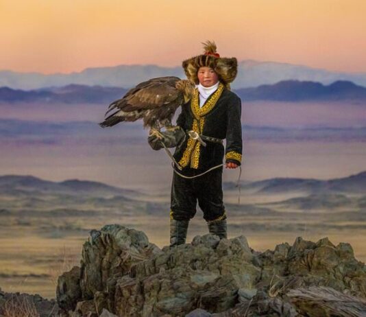 Movies of the Week: What’s on at Brighton’s Cinemas 16 -22 December The Eagle Huntress