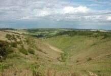 Boxing Day Walk: Devils Dyke Devils Dyke
