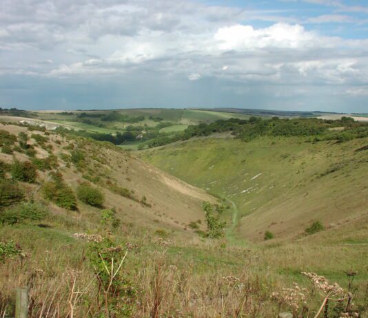 Boxing Day Walk: Devils Dyke Devils Dyke