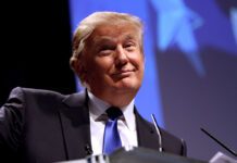 Donald Trump Mistakes Brighton Council Worker For Daughter Donald Trump